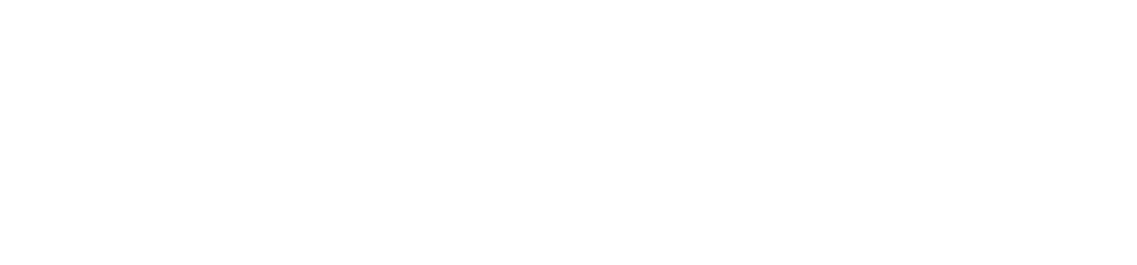 Swiss Premium Service